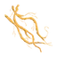 Vétiver