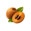 Sapotille