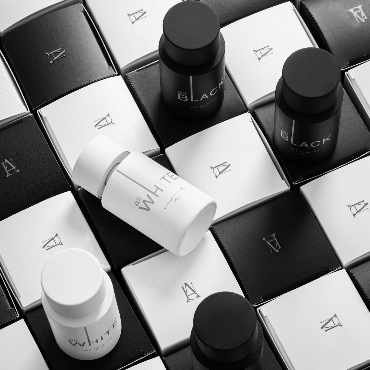 BLACK × WHITE